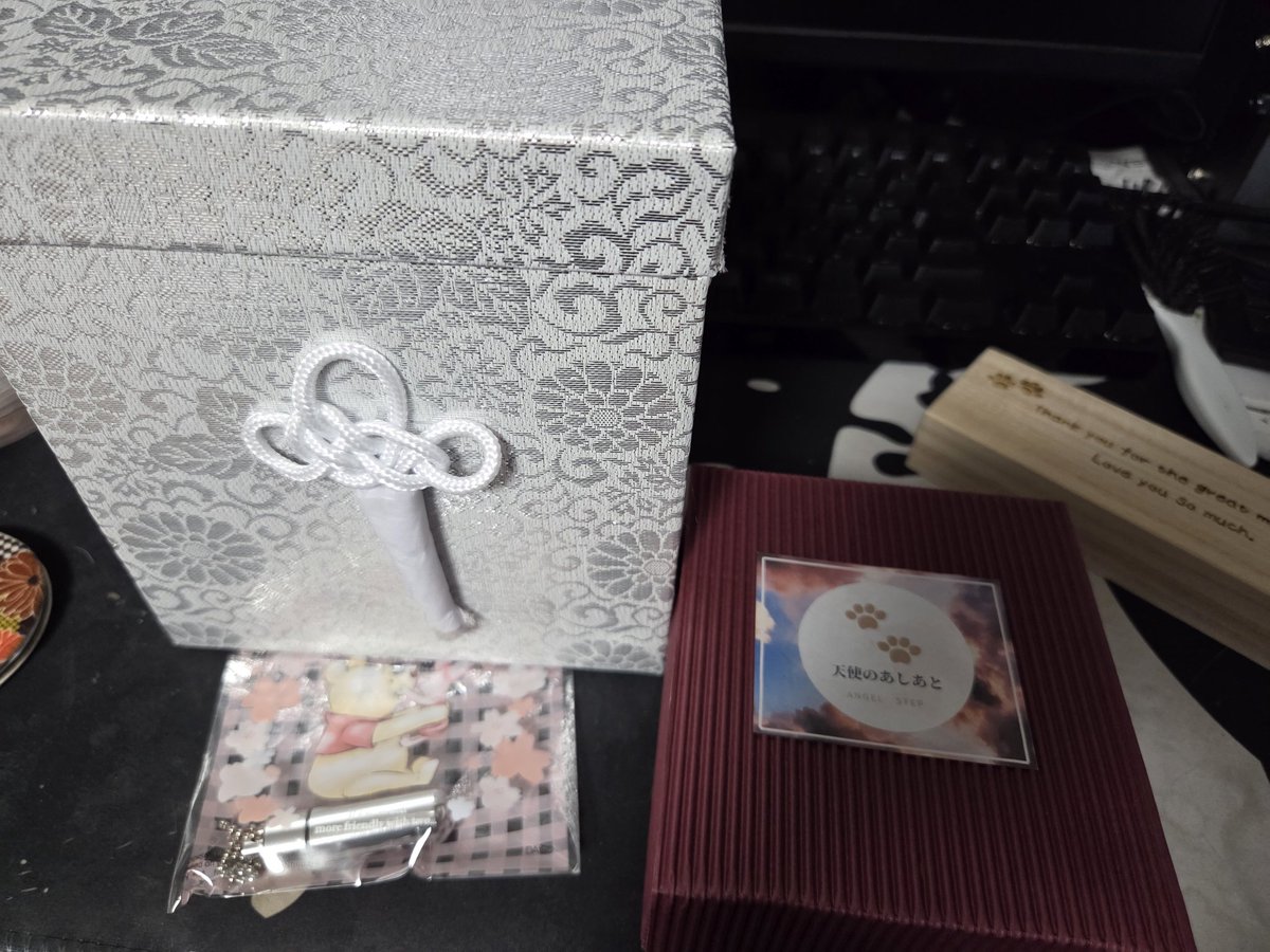 紫月.ゲーム実況★犬猫様の下僕Ｖチューバー tweet media