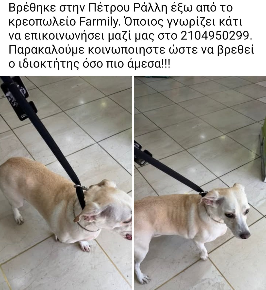 Χλε_Μπονα Σαμερ tweet media