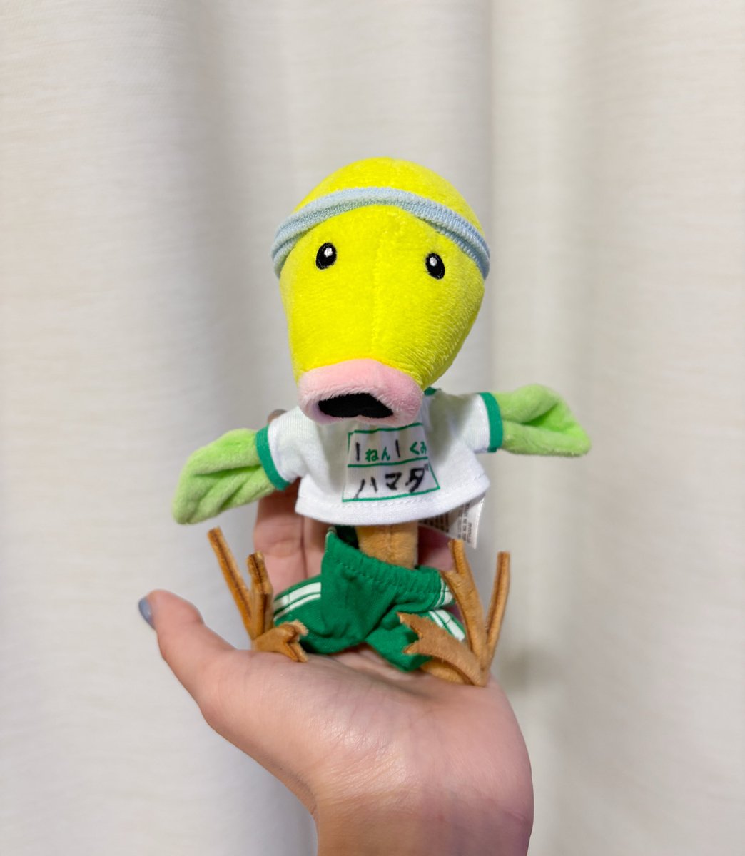 マダ子 tweet media