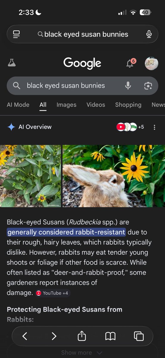 detached tweet media