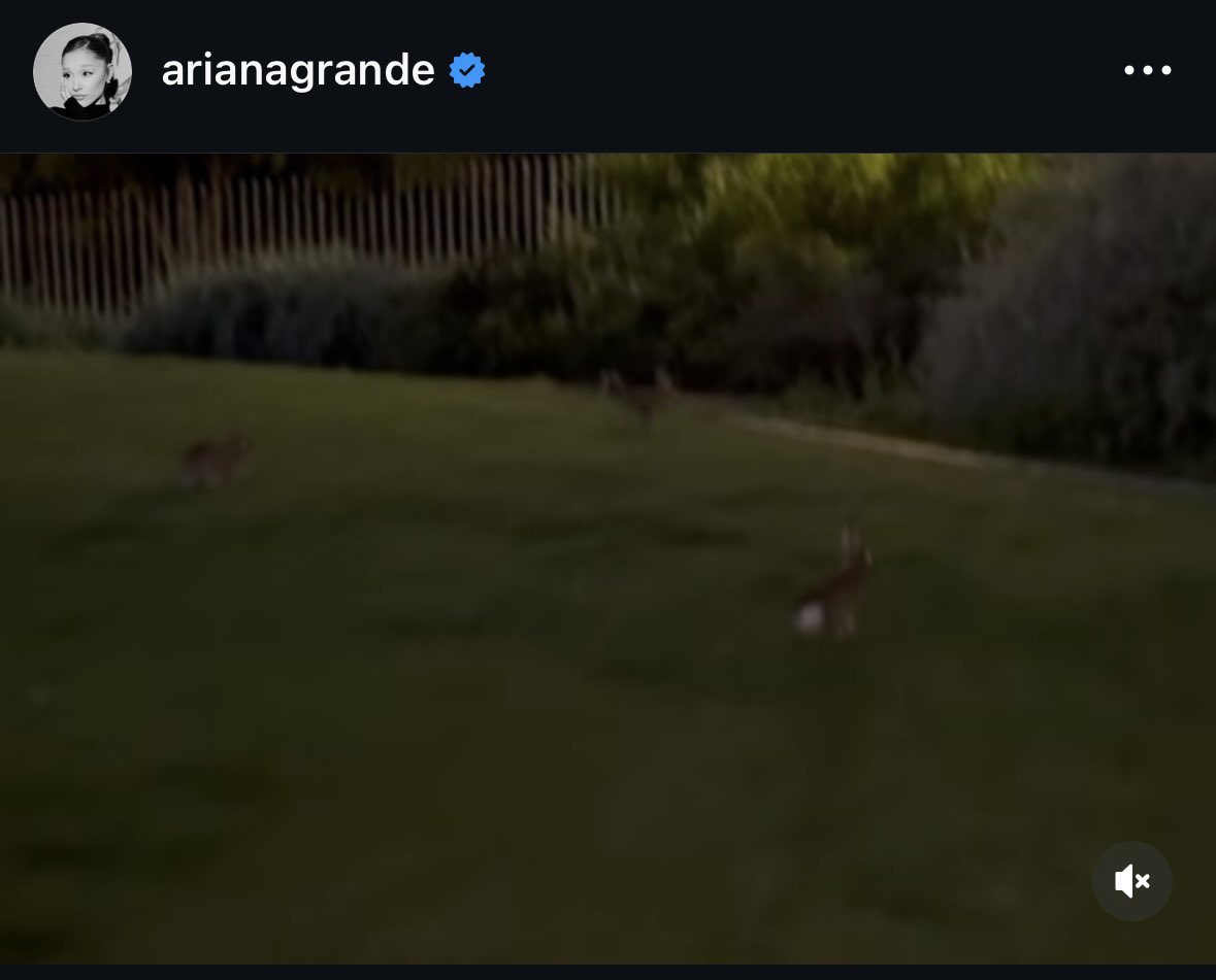 detached tweet media