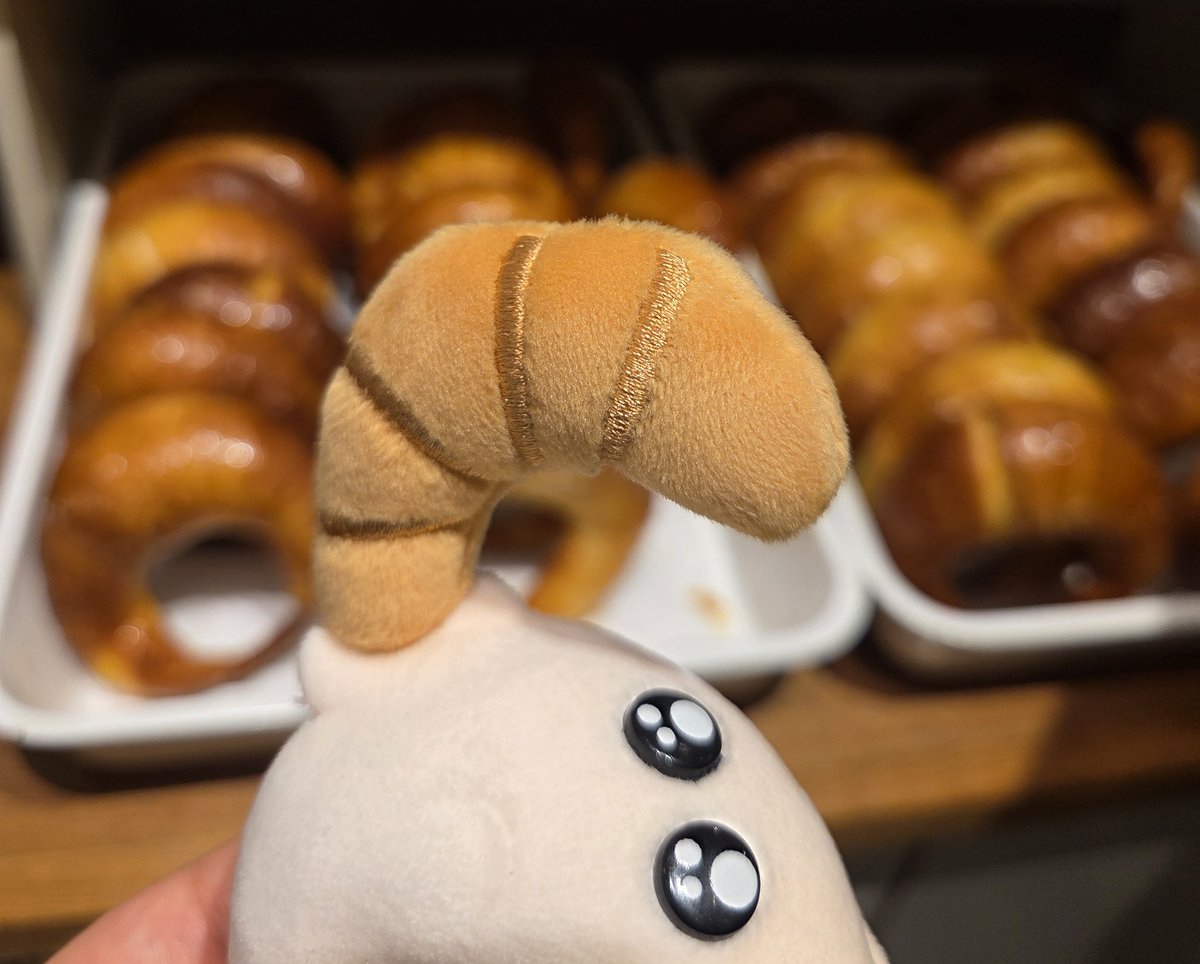 팥빵인형 tweet media