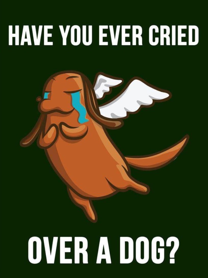 Pawzazzle's tweet photo. https://t.co/3pVNKBlz9S