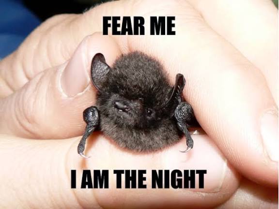 Philipp Silver tweet media