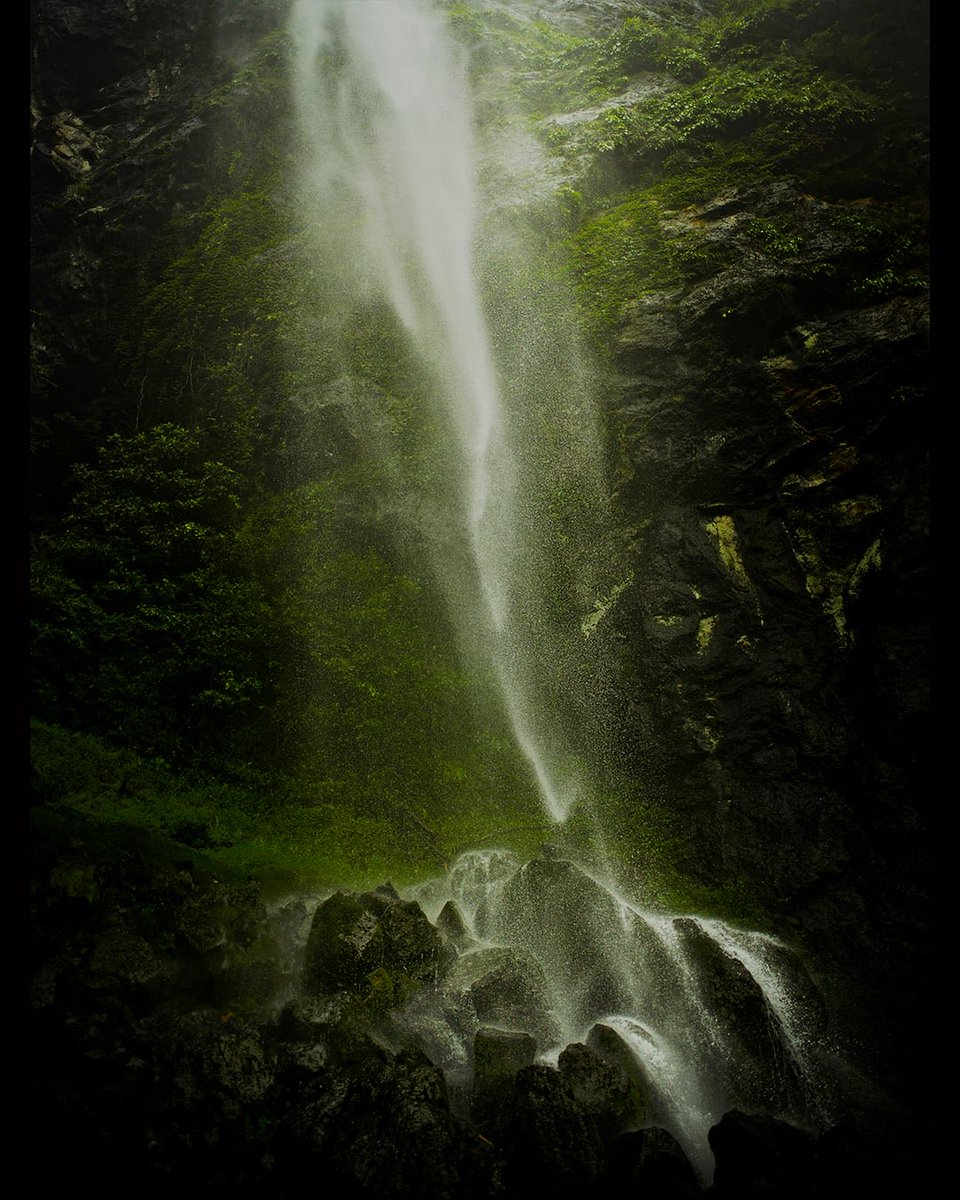 大杉隼平photographer tweet media