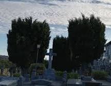 Anhelo de sangre 🆎 tweet media