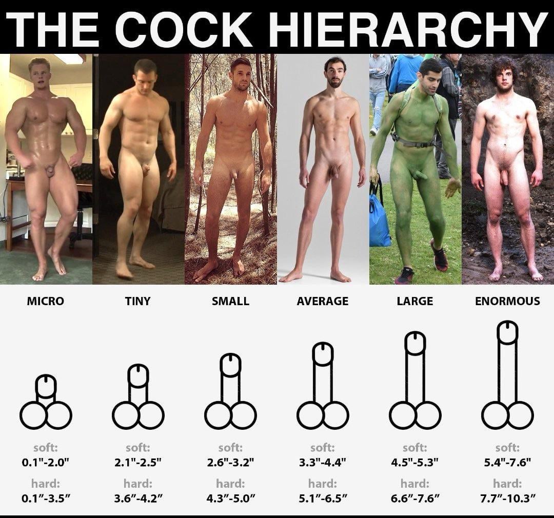 Inferior Males tweet media