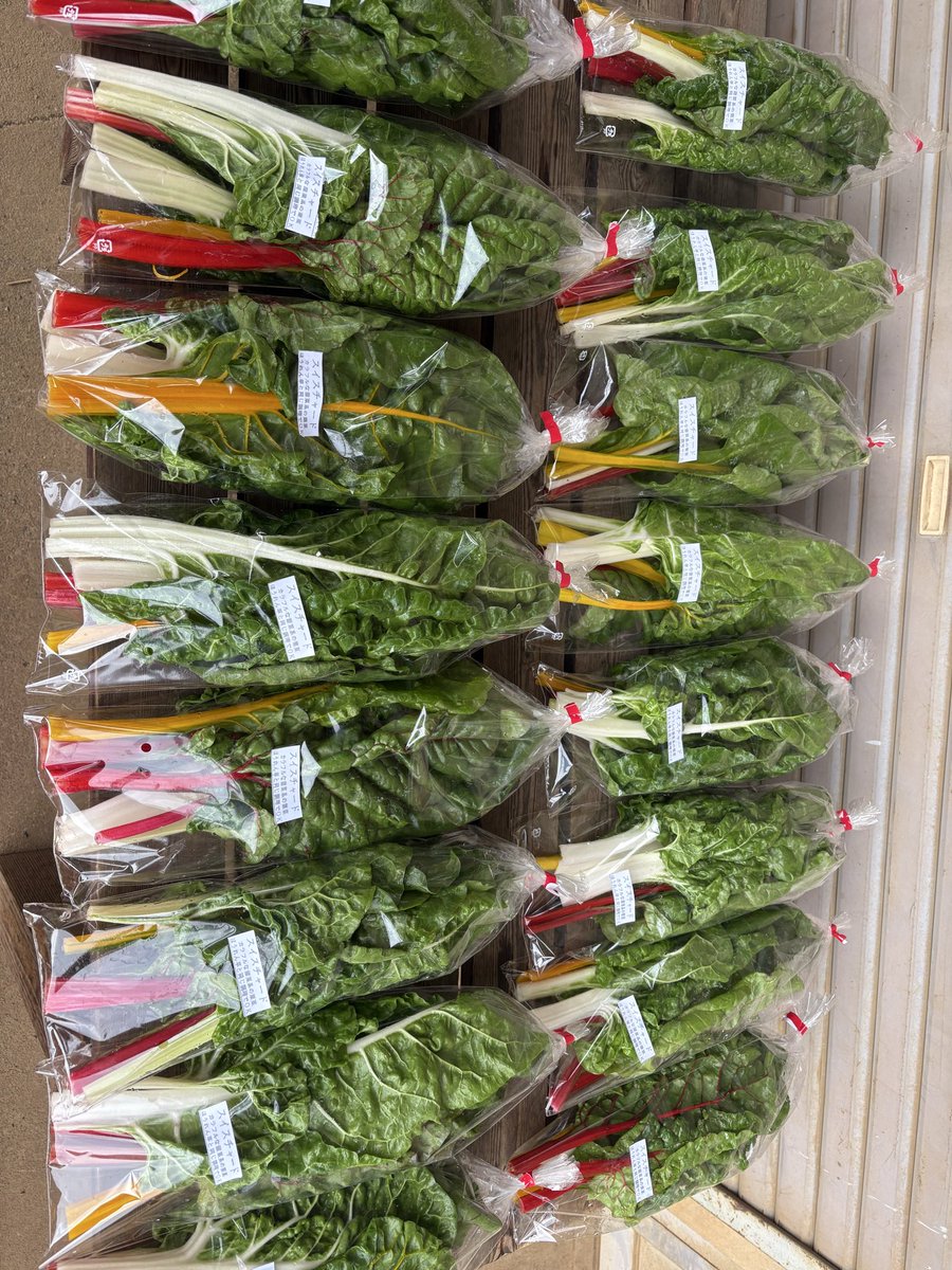 dorakunou's tweet photo. @POP13736388 @natumatazu スイスチャード、朝ドラ、おむすびで出たのですが全く売れ行き変わらず、手間賃すら合わないので今年で作付け辞めようと思ってます。 https://t.co/Z6RhboamEz