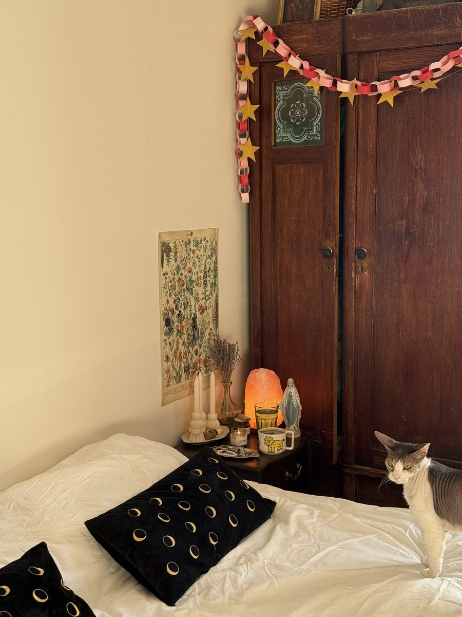 алёшкина любовь tweet media