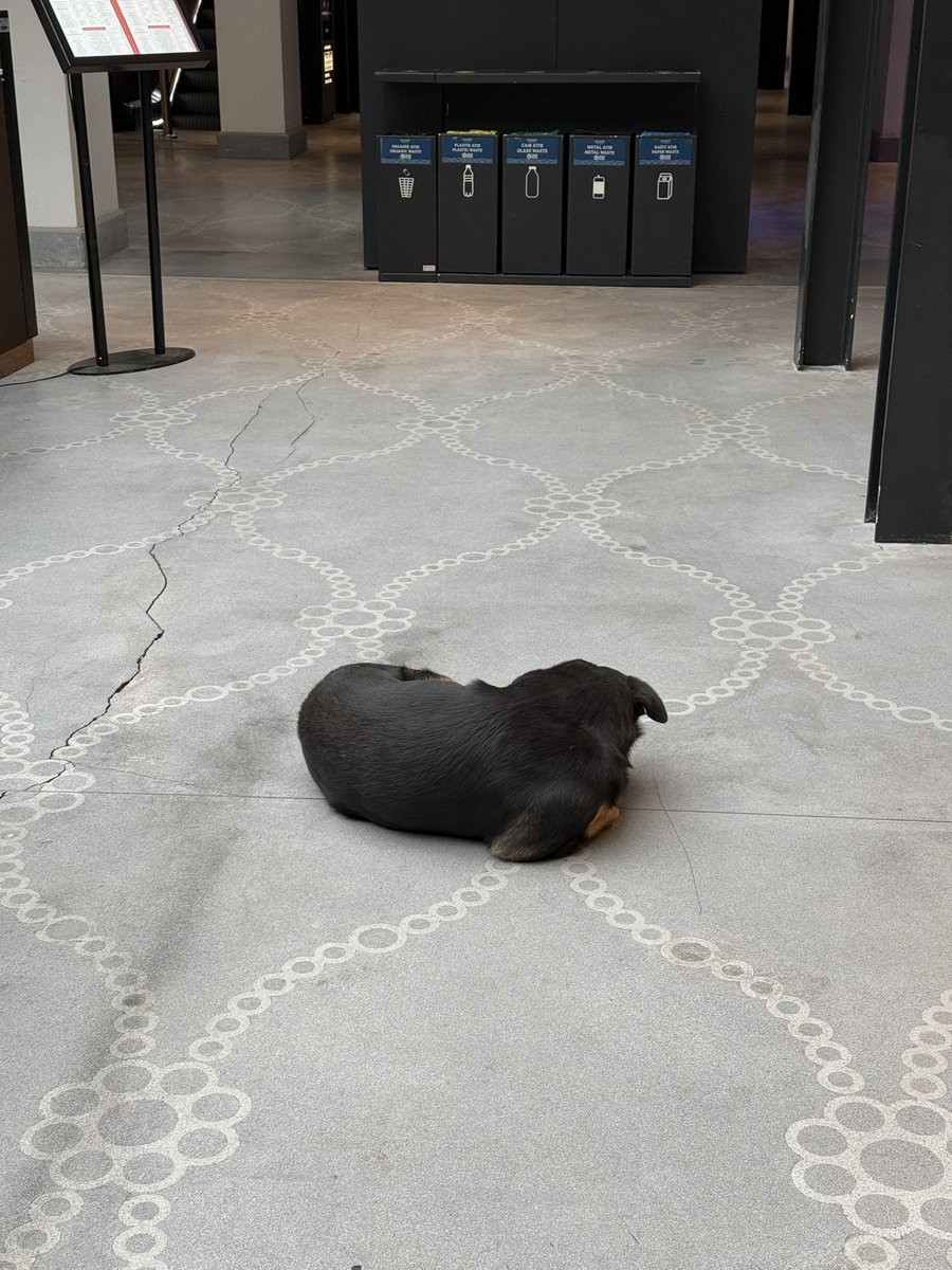 Orhan Toker (Dijital Baba) tweet media