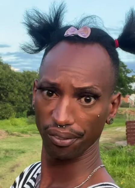 Lady Anthurium tweet media