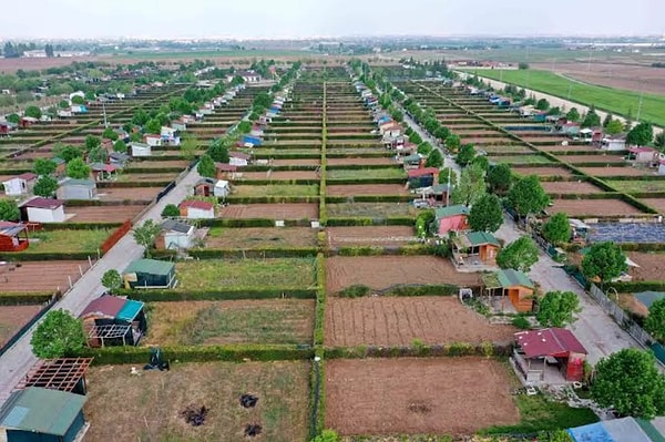 Turhan Bozkurt tweet media