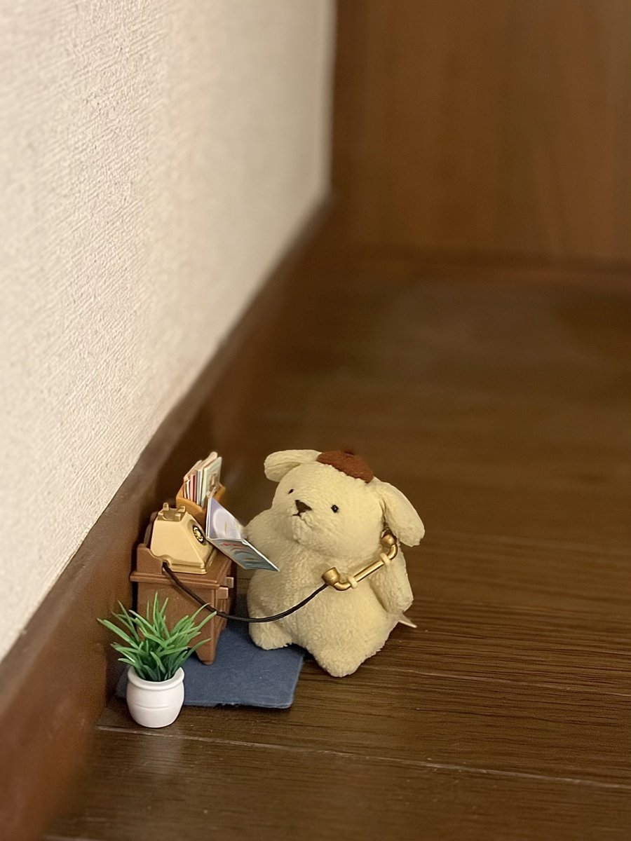 こつぶちゃん tweet media