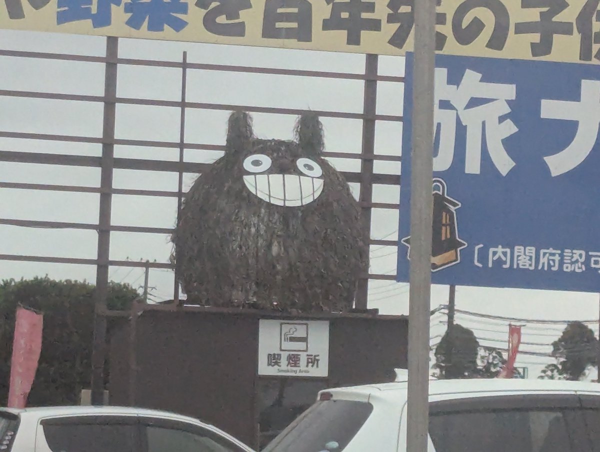 RYO KATO🦍加藤良🦍ボスゴリラ tweet media