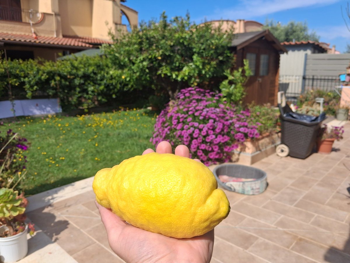 Cristina__7274 tweet media