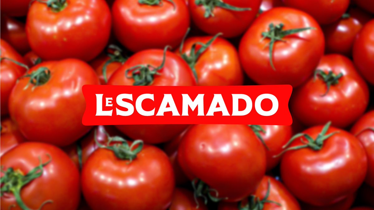 MandlateRoberto's tweet photo. Este Case é muito bom para ficar na gaveta.
Em 2023, desenvolvi a identidade da Lescamado, uma marca 100% moçambicana de polpa de tomate. Mais do que um exercício de design, este projeto foi vencedor na categoria de Empreendedorismo… https://t.co/aKRrhqhz9q