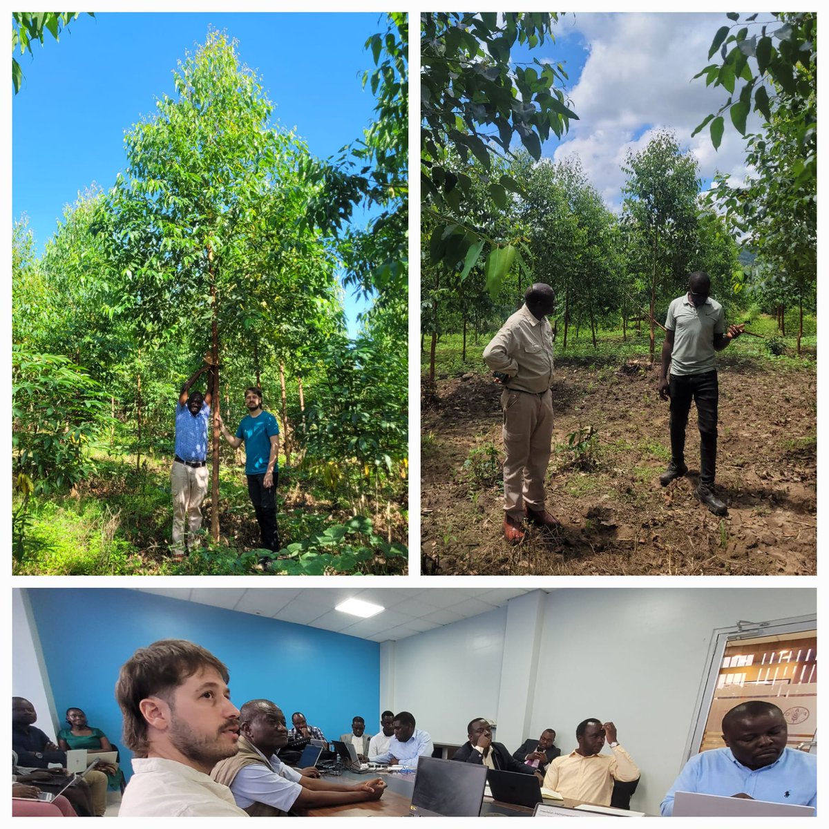 Estos días estamos en Uganda 🇺🇬 trabajando en el proyecto: "Mapping and Inventory of wood resources in Uganda" contratado por <a href="/FAOForestry/">FAO Forestry</a> 

Tras el ingestion meeting en las oficinas de <a href="/FAO/">Food and Agriculture Organization</a> de Kampala (Bugolobi), estos días estamos visitando plantaciones de propietarios privados