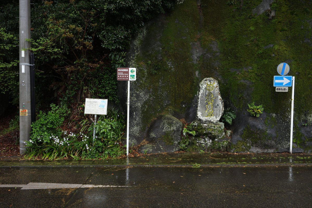 藤子@写真展ありがとう tweet media