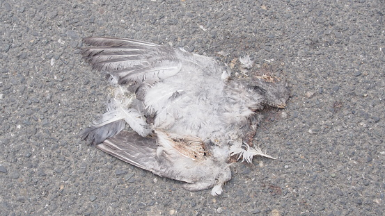 Carl Winslow tweet media