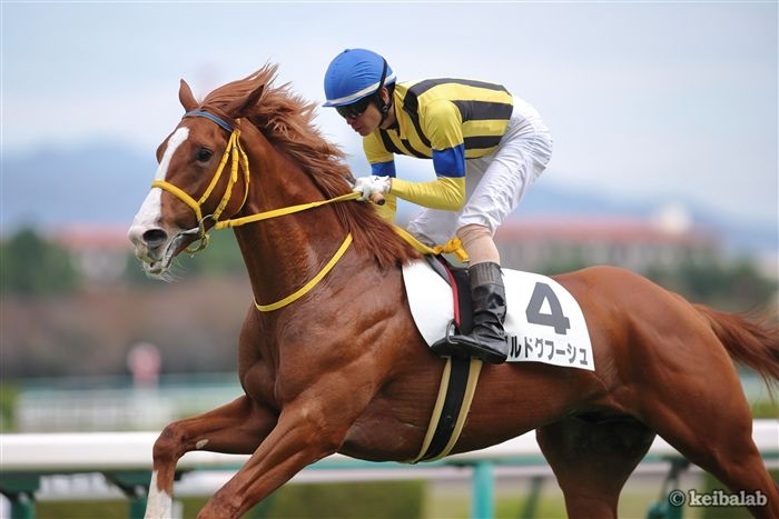 競馬ラボ tweet media