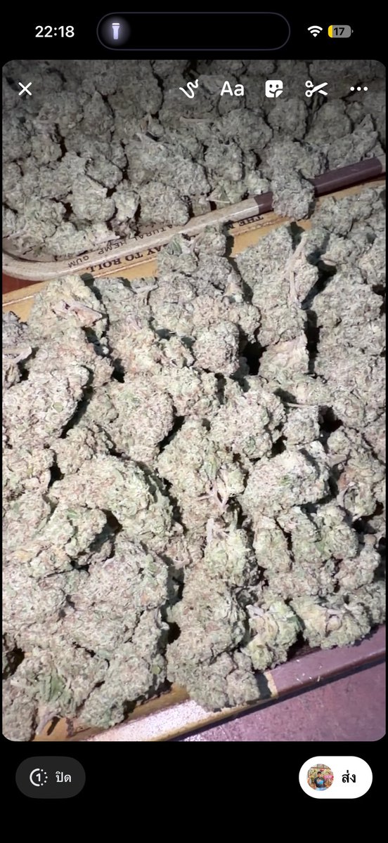 gethigh_420x's tweet photo. ชุดนี้งานเอ้าท์ดอร์หน้าหนาวครับ
‼️สายพันเข้าใหม่‼️
Biscotti of
Permanent gas
Supzero cherry bome

งานผมปลูกเองครับเปิดใจลองไม่ผิดหวังครับงานคนไทย คลีนๆ💯

งานไทยเเท้Home grow ดอกเอ้าดอ
งานปุ่ยอเทน่า กลิ่นชัดครีนมากๆติดจมูกติดคอ งานผมตัดใหม่ๆสดๆ ไม่ใช่งานค้างไตรโคมลั่นๆ คุณภาพล้นๆปลูกเองทำเอง🥦💚

🥦กรัมละ 20บาท
ขีด1500
โล10000

💯ใบทริมก็มีนะครับกรัม10บาท

สั่งซื้อสินค้า👉🏻👉🏻Line ID : https://t.co/H22U7pCcte

🛵ส่งแกร็บได้ทั่วเชียงใหม่ 
👍🏻ชนมือสันทราย สันนาเม็ง
🚛ตจว.ส่งแฟลชได้ทั่วไทยครับ

 #กัญชาเชียงใหม่ #กัญชากรุงเทพ #กัญชาแม่โจ้ #กัญชาอัดแท่ง #กัญชากรีนแคก #กัญชาออแกนิค #กัญชา #กัญชากทม #กัญชาพัทยา #กัญชาสุราษ #กัญชาสันทราย #กัญชาog #กัญชาลาดพร้าว #กัญชาog #กัญชารามคําแหง #กัญชาภูเก็ต #กัญชาเกาะเต่า #กัญชาชลบุรี #กัญชาตาก  #กัญชาลพบุรี #กัญชาเจ็ดยอด #กัญชาเมญ่า #กัญชานิมมาน #กัญชาสันติธรรม #กัญชามช #กัญชาแม่ริม #กัญชาสันกำแพง #กัญชานนทบุรี #กัญชากทม #กัญชาหางดง