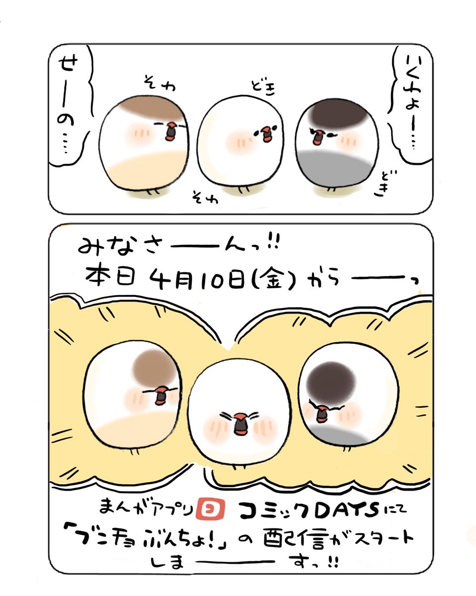 🐦お知らせ🐦
本日4/10(金)より、講談社公式WEB漫画サイト『コミックDAYS』のビブリオシリウスにて、『ブンチョぶんちょ』の漫画配信がスタートしました🐦🙌
https://t.co/cp9z90DIdg 