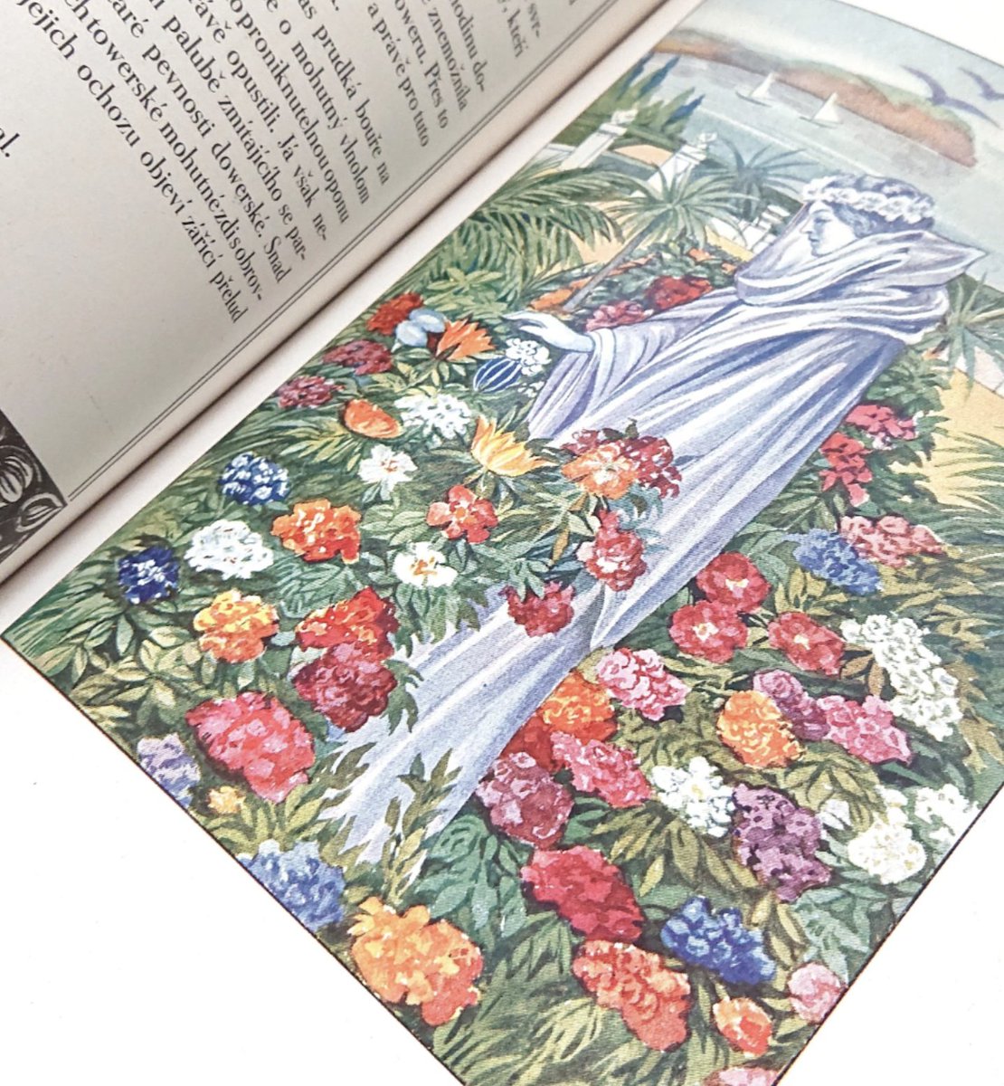 ファンテギュット・ブックス tweet media