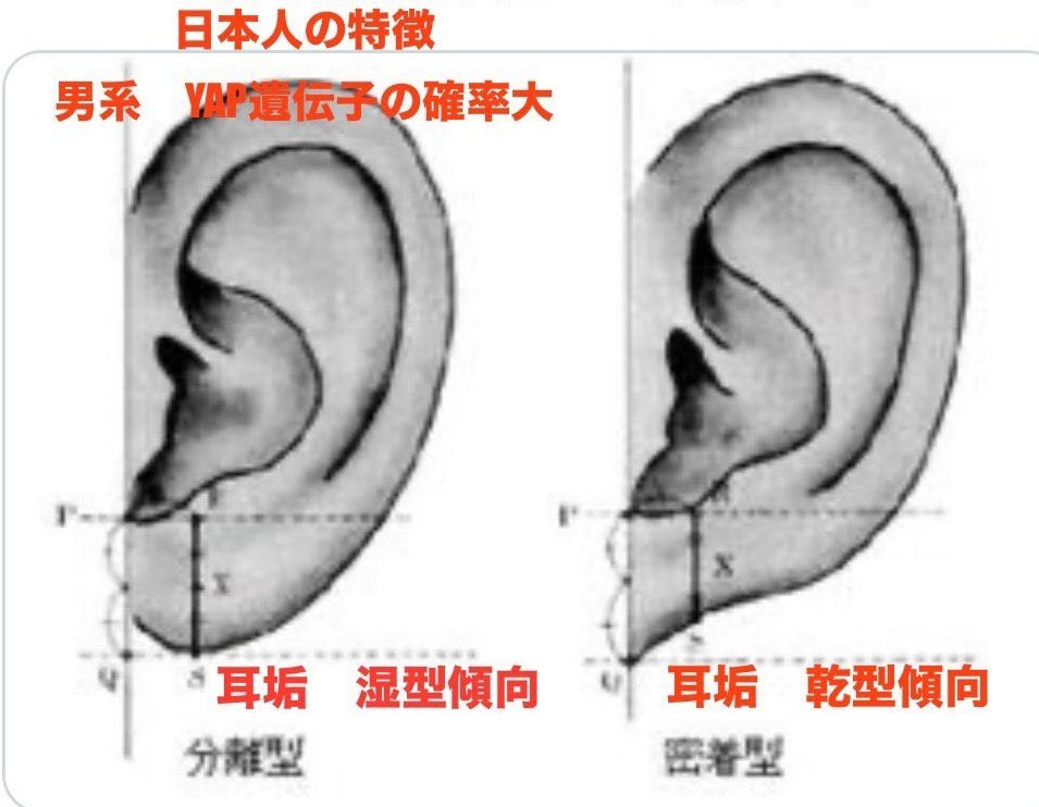 63E1Yx3F0D4EgHA's tweet photo. @sharenewsjapan1 チョット前には、反戦護憲派発言しとったし。
大河ドラマ「べらぼう」では普段はメガネの紐で耳たぶ👂をたくしあげてたケド、最終話での花魁姿ではやはり耳たぶが小さいし、エラが張ってる😮‍💨 https://t.co/5JcqxNEJFN