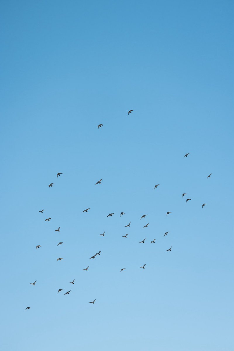 Nao Kudo tweet media