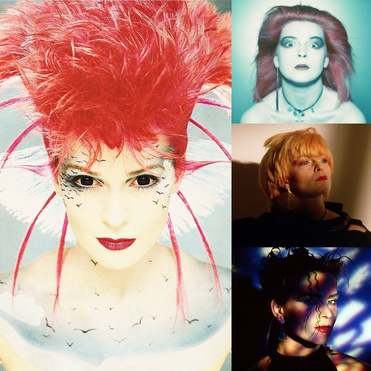 toyahofficial's tweet photo. ♫ #Toyah’s 5 studio albums originally recorded for Safari Records are now available to download in hi-res 24-bit audio on @Bandcamp https://t.co/r3PQTJleW9 

🐑 1979 Sheep Farmimg In Barnet
🏰 1980 The Blue Meaning 
🤘 1981 Anthem 
👿 1982 The Changeling
🩶 1983 Love Is The Law https://t.co/ZsyGoTEDLC