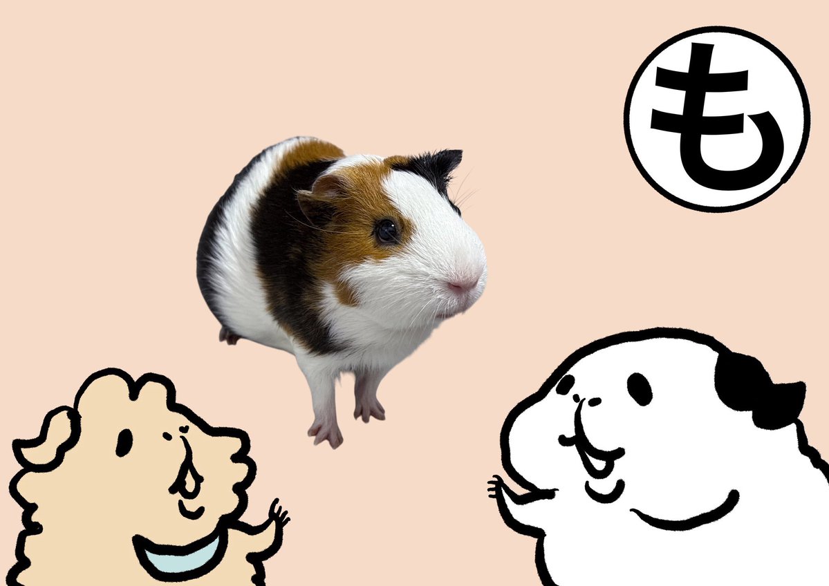 オコチヤンカイヌシ tweet media