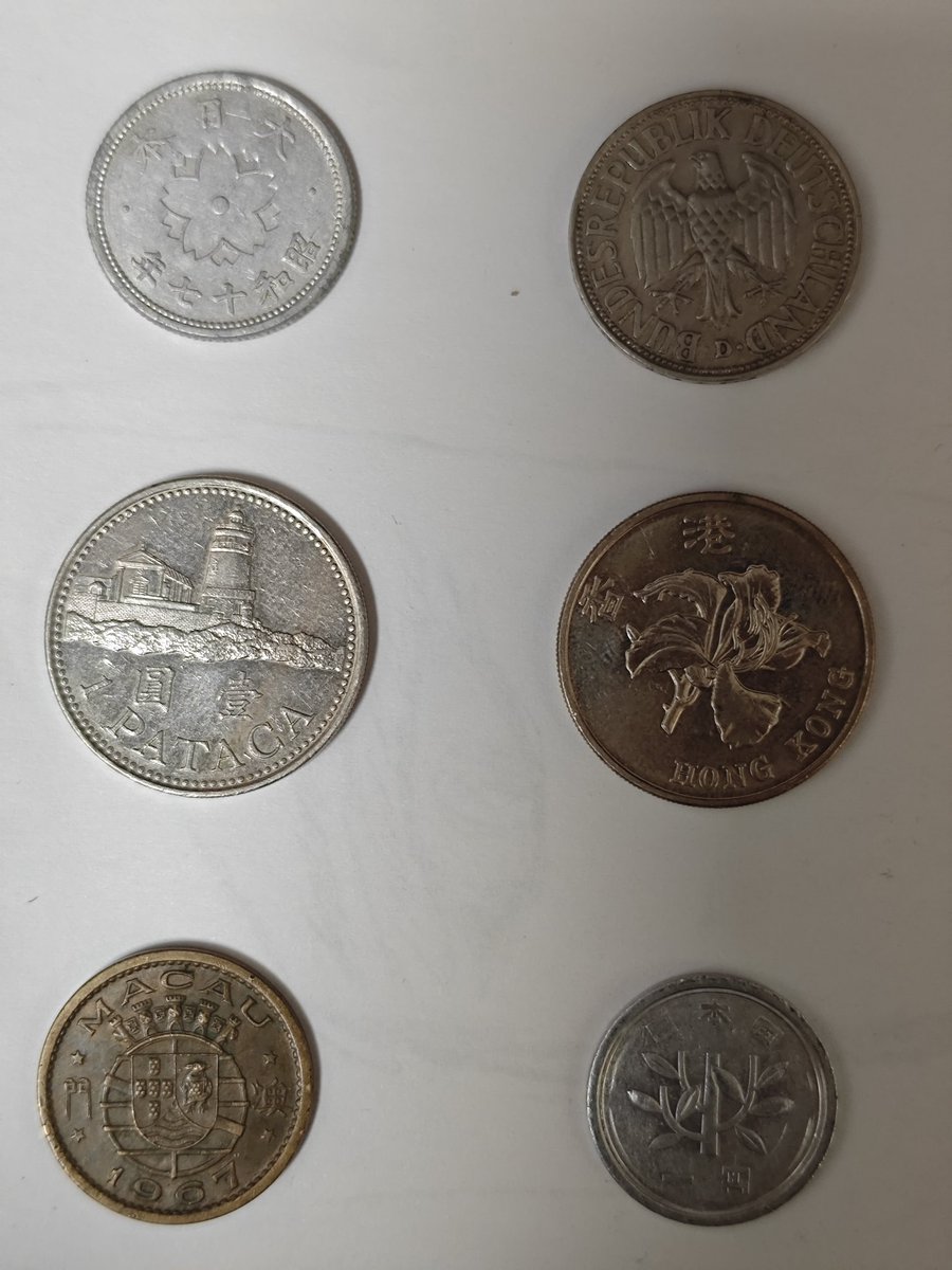 โฌ๐ถ๐๐๐ ๐๐๐ ๐๐๐น๐ถ๐ tweet media