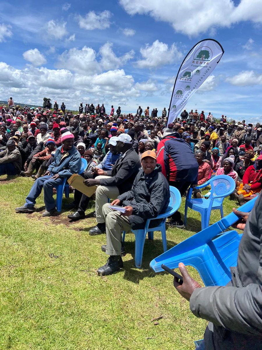 MauForestComplex_iclip tweet media