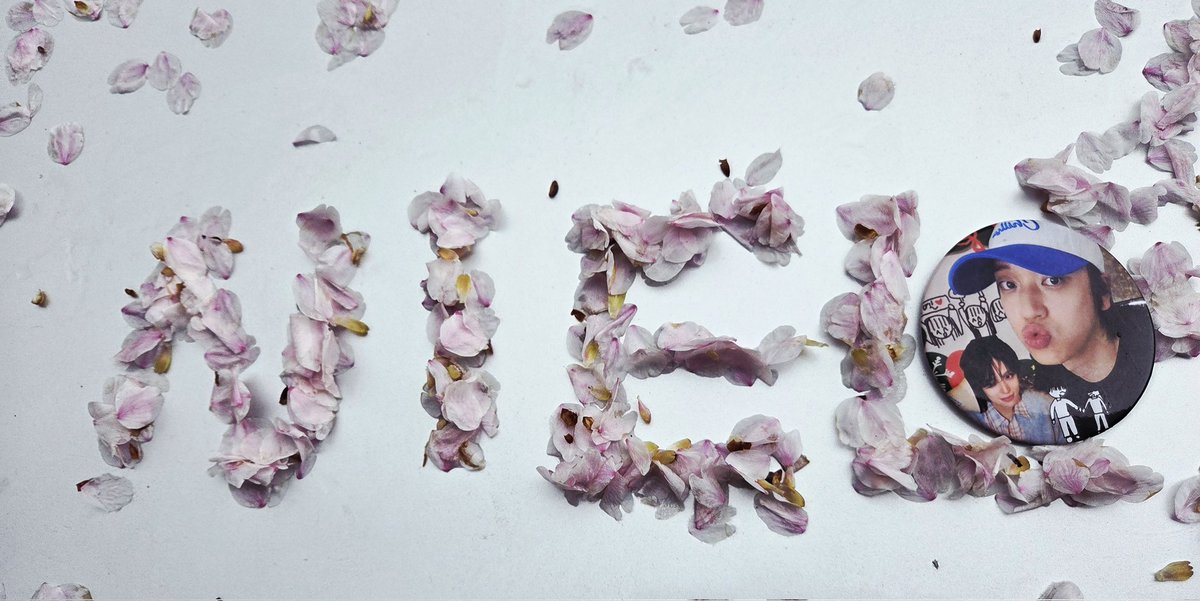 짱이 누나 💕🕯 tweet media