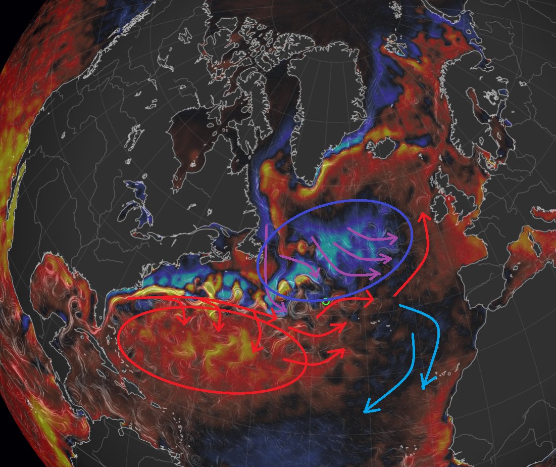 Sebastian Tyszuk tweet media