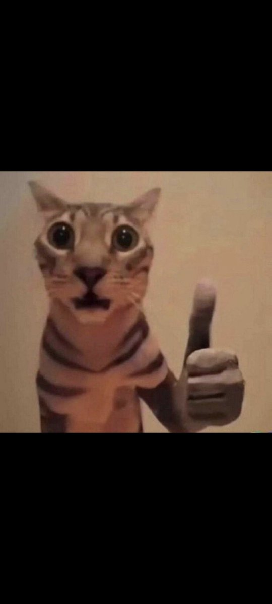 きぃんせい tweet media