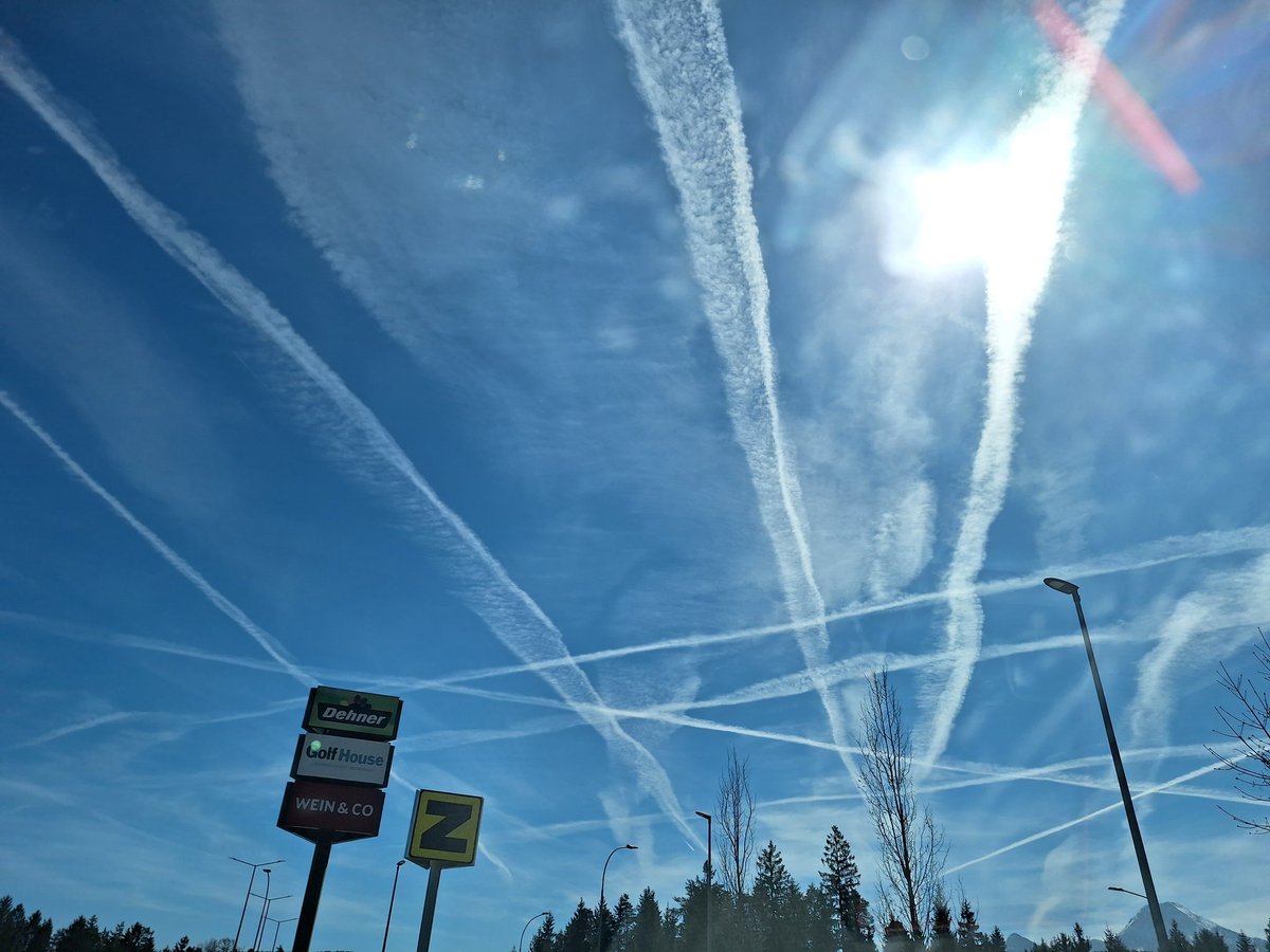 Doris K. 🇦🇹 tweet media