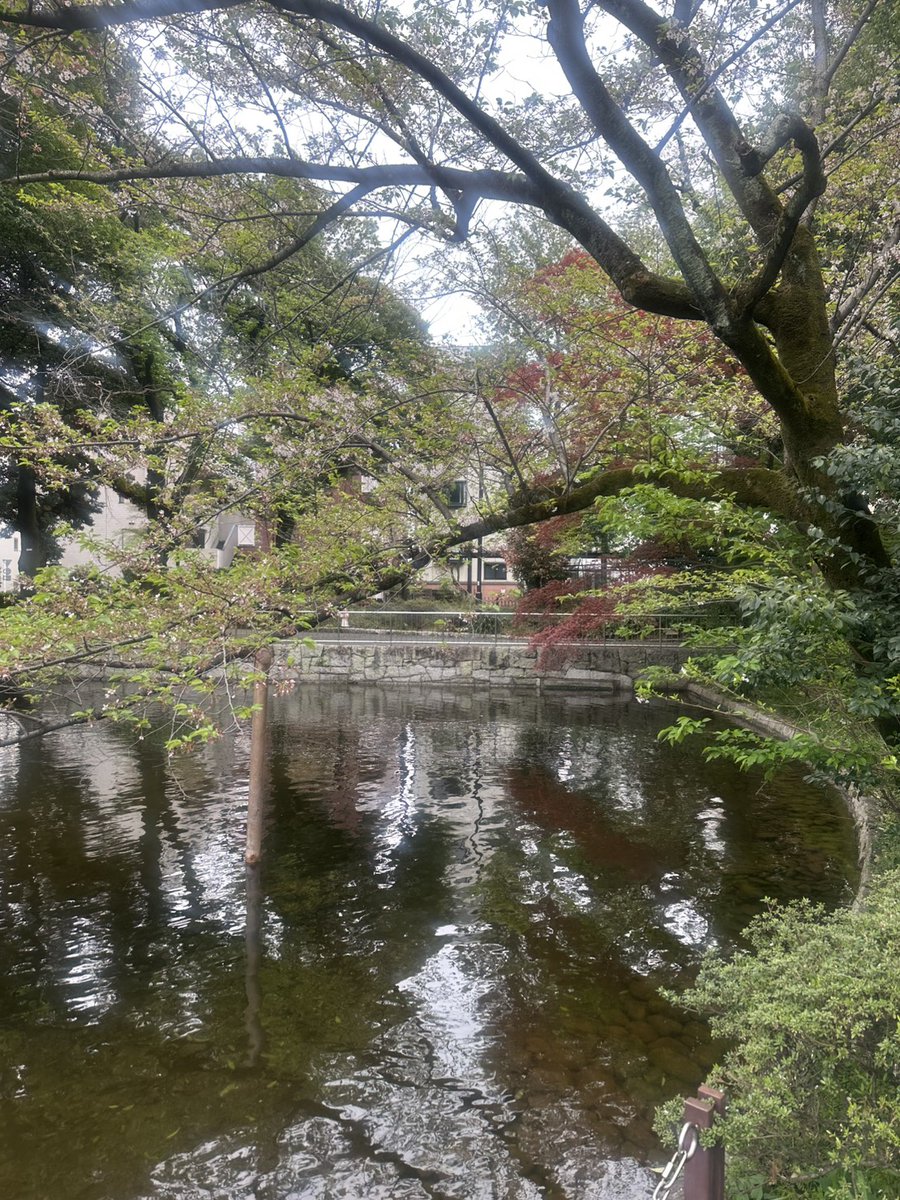 OfficeSheep tweet media