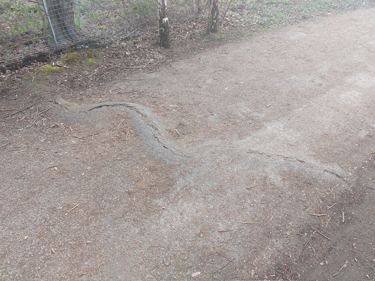 William Wardale tweet media