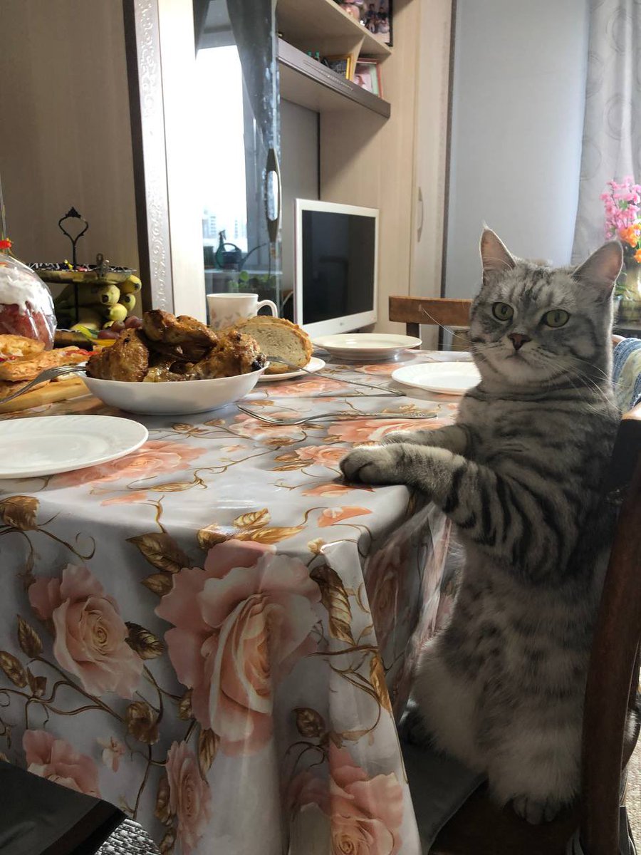 Nordbird tweet media