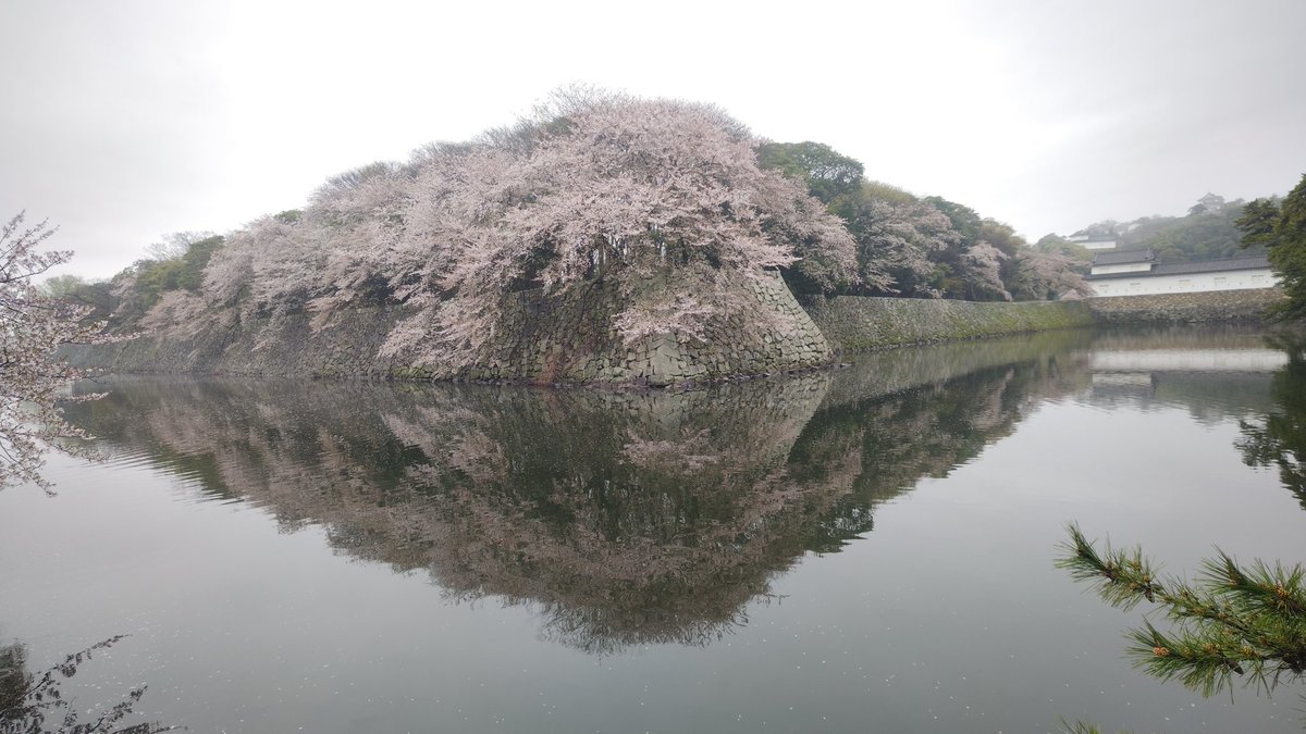 天気悪くても綺麗よね