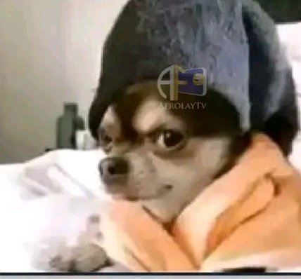 Batman Legal tweet media