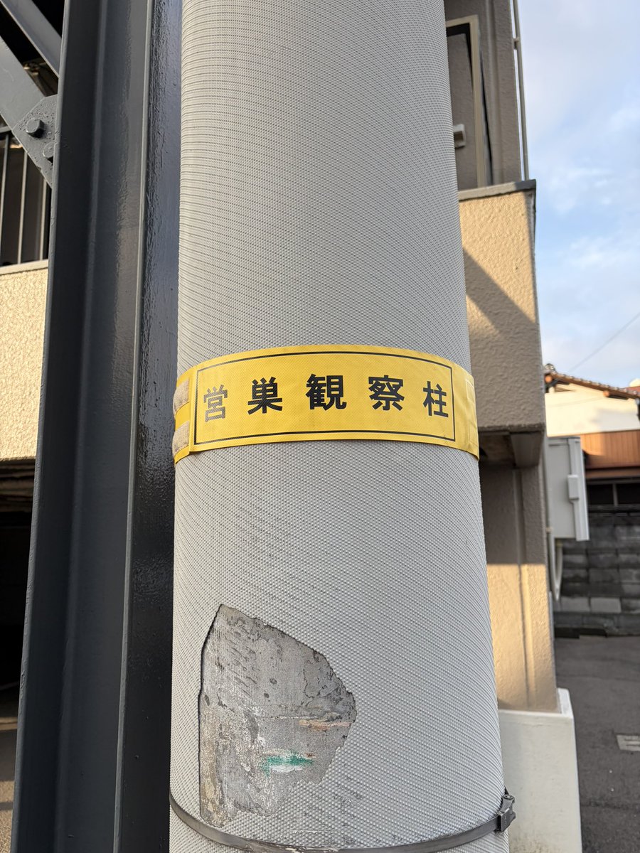 葉月🌷情報収集＆講師垢🕊️ tweet media