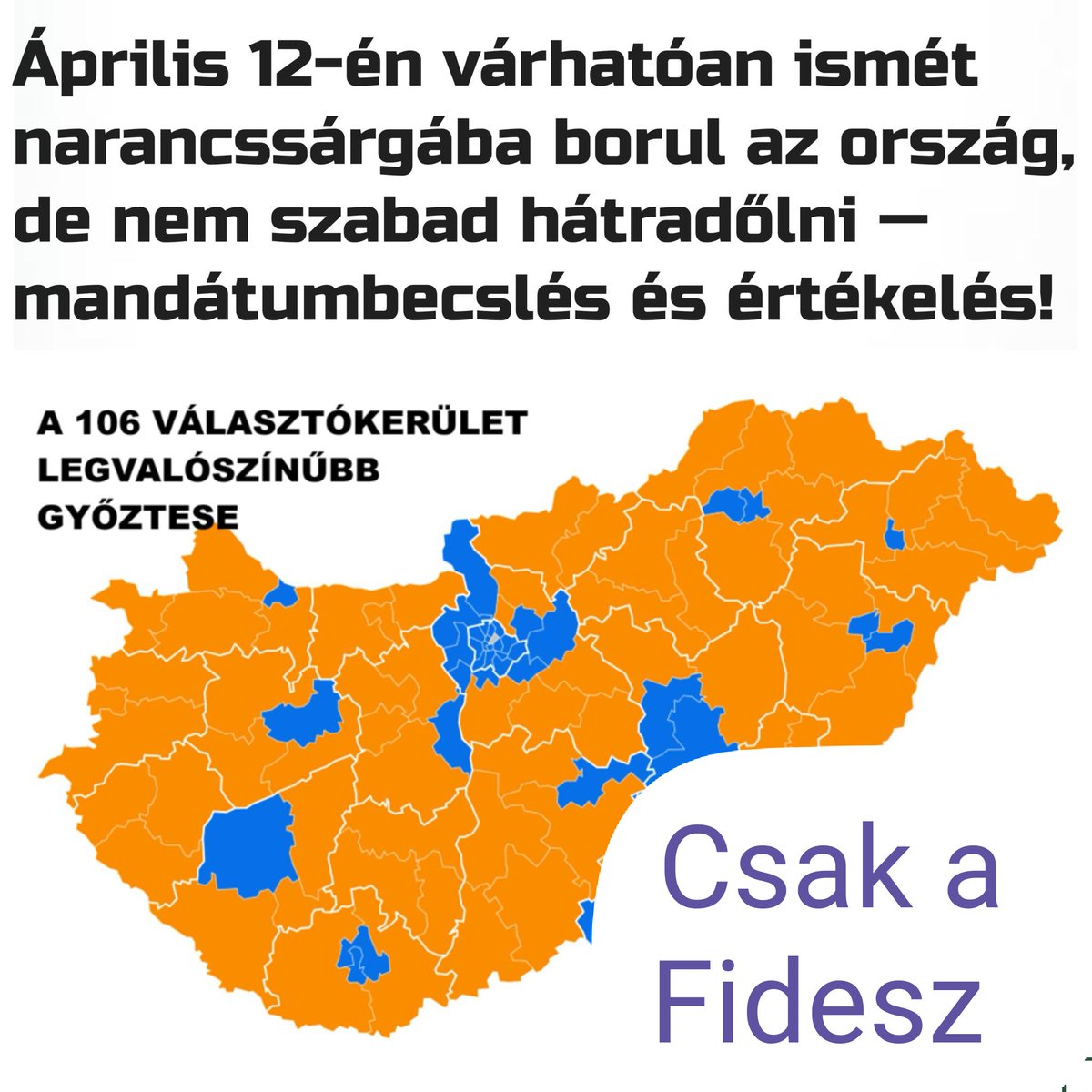 Katalin Dani tweet media