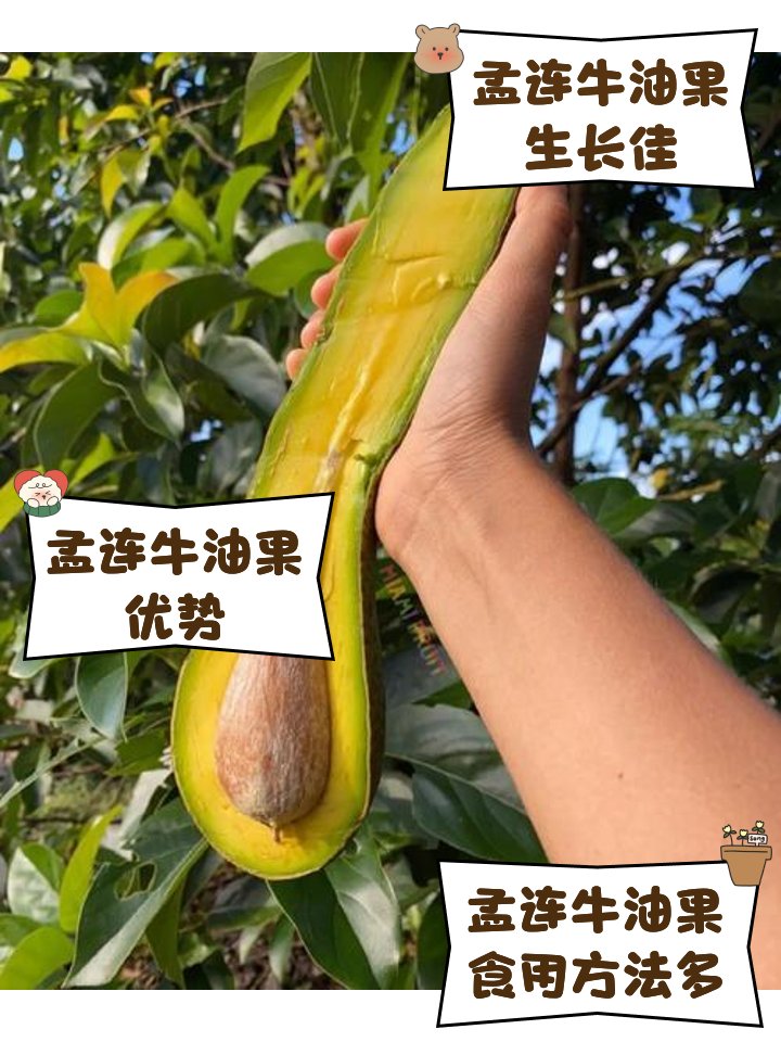 Beth Deki tweet media