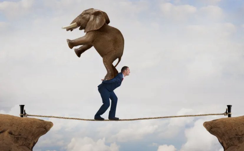 NIña-Feliz tweet media