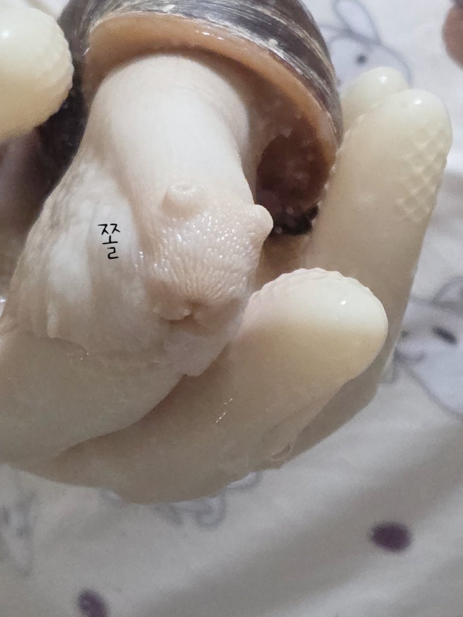 테풀잎 tweet media