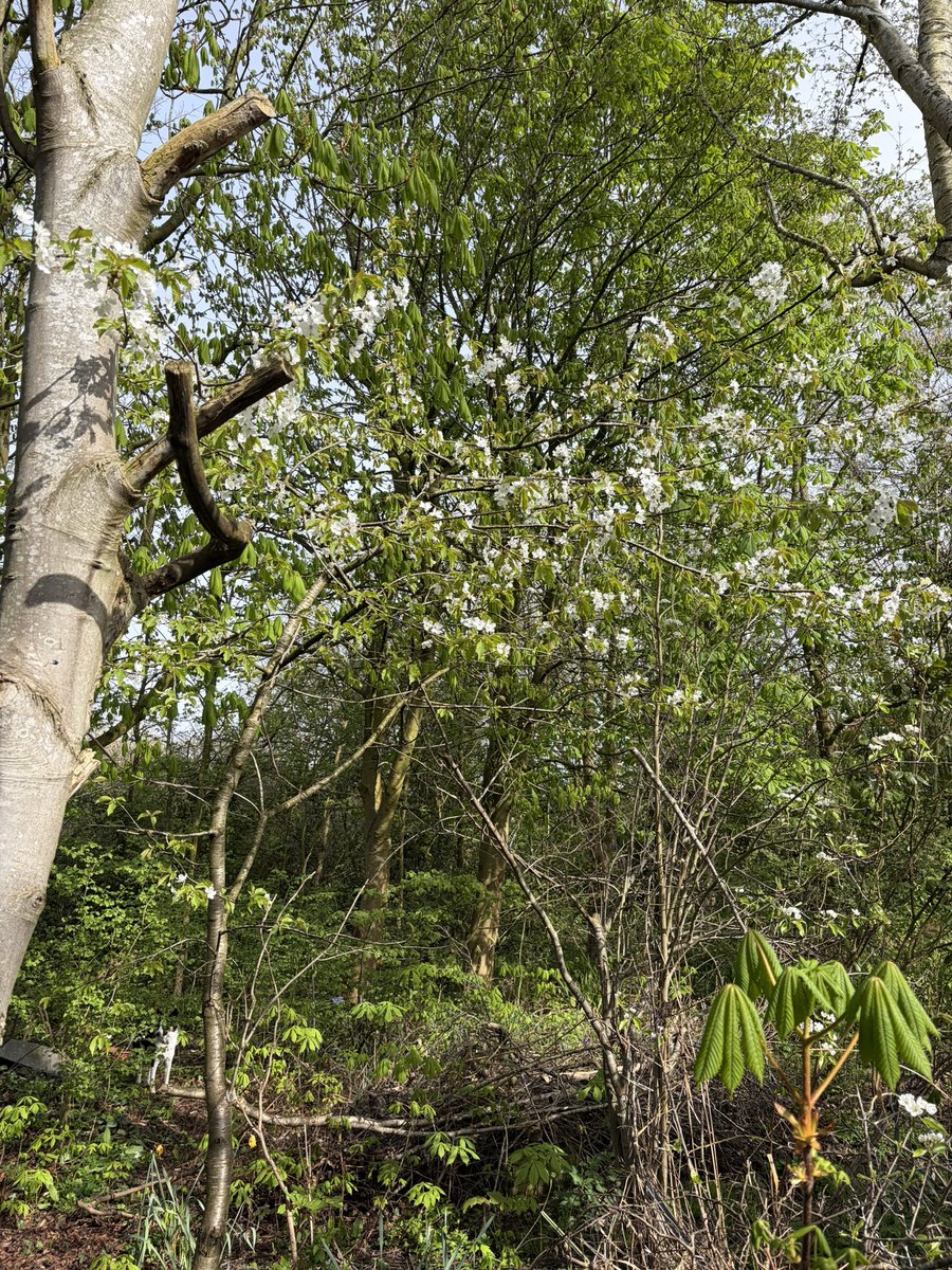 ☠️ Matt 👾 tweet media