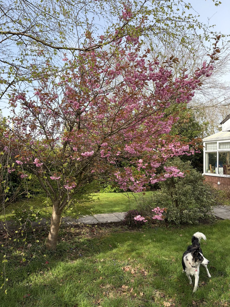 ☠️ Matt 👾 tweet media