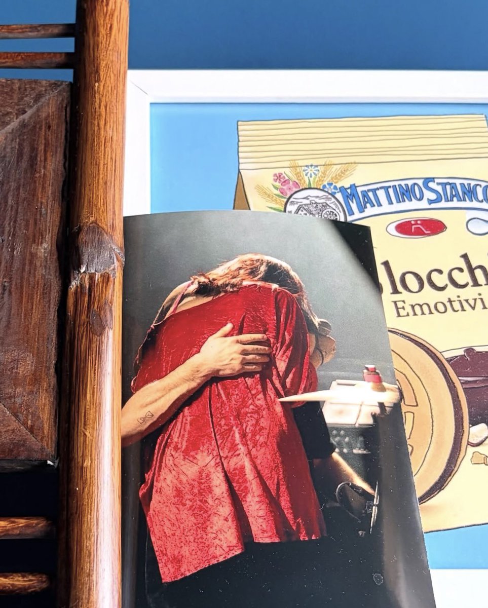 alex🧸 csplf tweet media